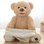 Teddy Bear | Plushies